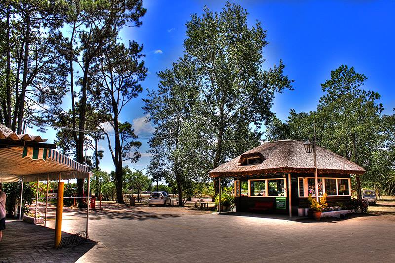 Acampar en la costa de Uruguay ¡Te mostramos nuestros favoritos!