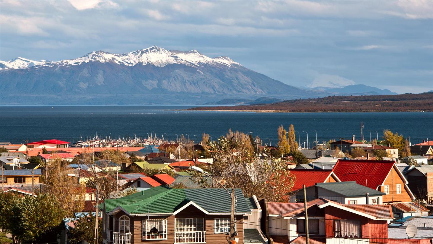 magdalena island tour from puerto natales
